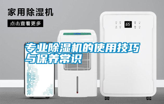 專業除濕機的使用技巧與保養常識