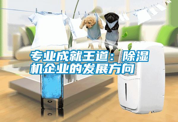 專業成就王道：除濕機企業的發展方向