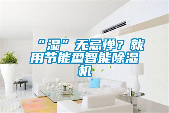 “濕”無忌憚？就用節能型智能除濕機