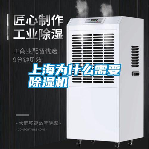 上海為什么需要除濕機