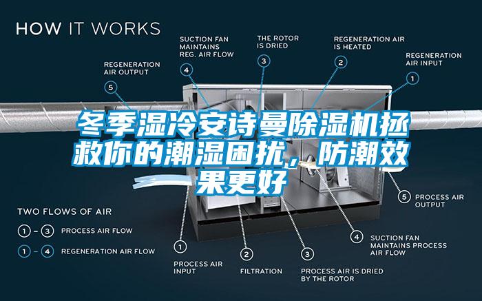 冬季濕冷安詩曼除濕機拯救你的潮濕困擾，防潮效果更好