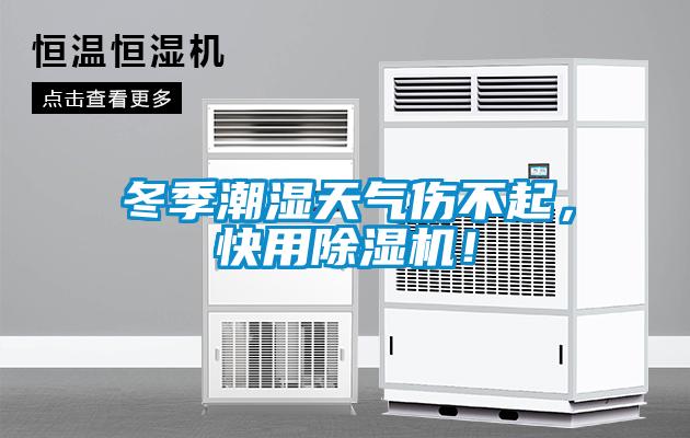 冬季潮濕天氣傷不起，快用除濕機！