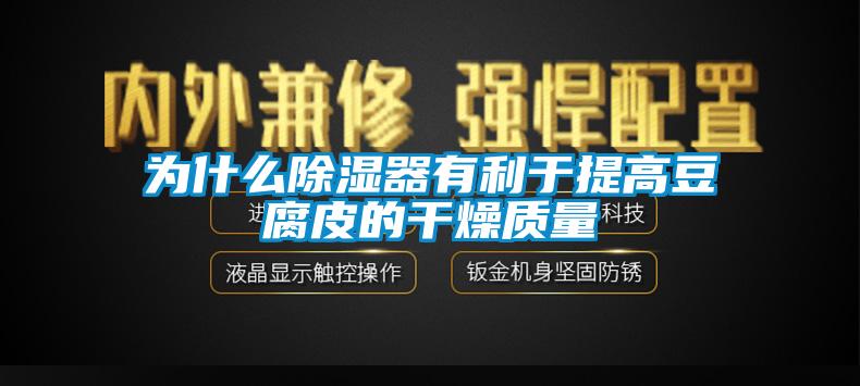 為什么除濕器有利于提高豆腐皮的干燥質量