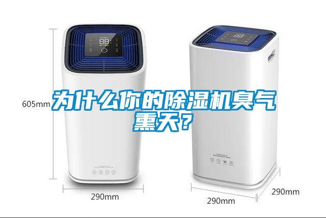 為什么你的除濕機臭氣熏天？