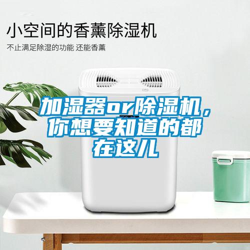 加濕器or除濕機，你想要知道的都在這兒