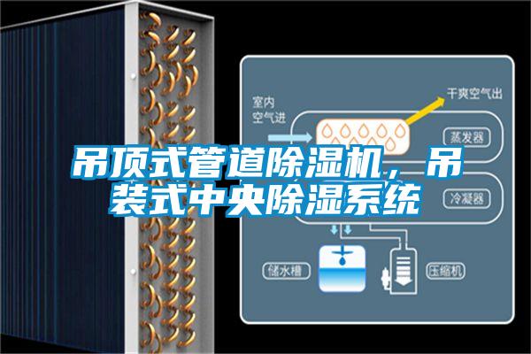 吊頂式管道除濕機，吊裝式中央除濕系統