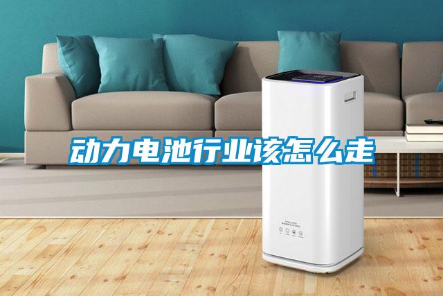 動力電池行業該怎么走