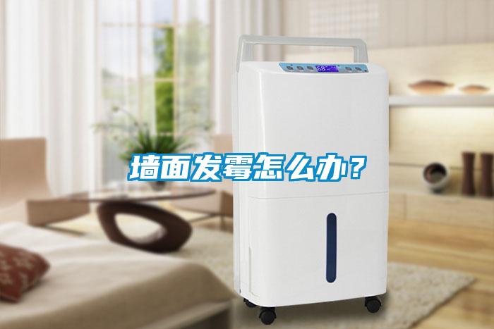 墻面發霉怎么辦？