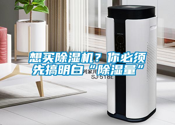 想買除濕機？你必須先搞明白“除濕量”