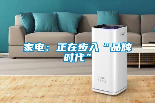 家電：正在步入“品牌時(shí)代”