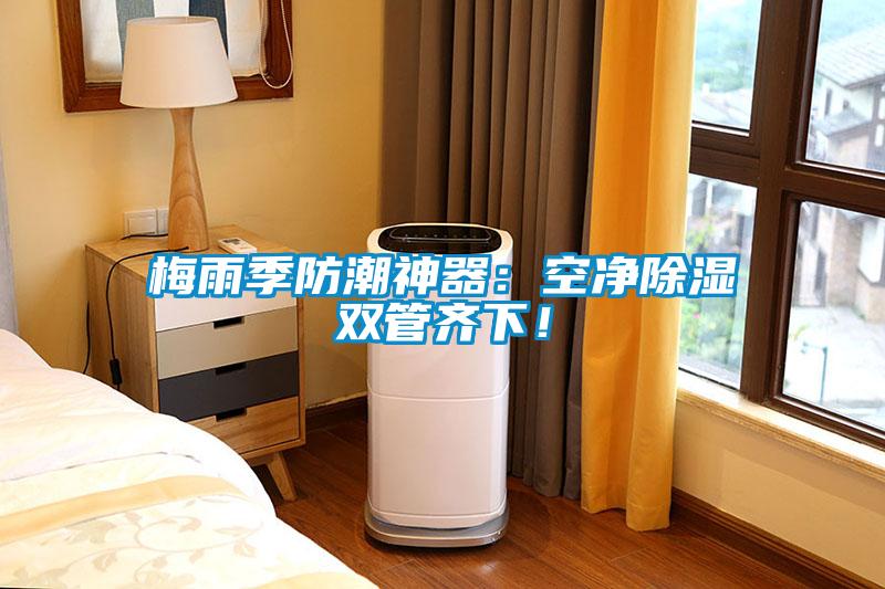 梅雨季防潮神器：空凈除濕雙管齊下！