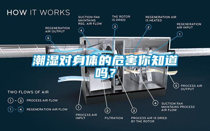 潮濕對身體的危害你知道嗎？