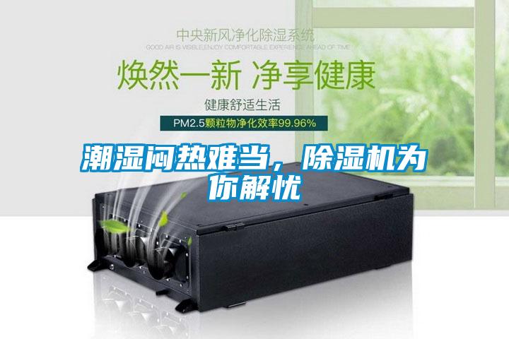 潮濕悶熱難當，除濕機為你解憂