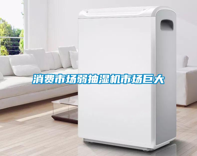 消費(fèi)市場(chǎng)弱抽濕機(jī)市場(chǎng)巨大