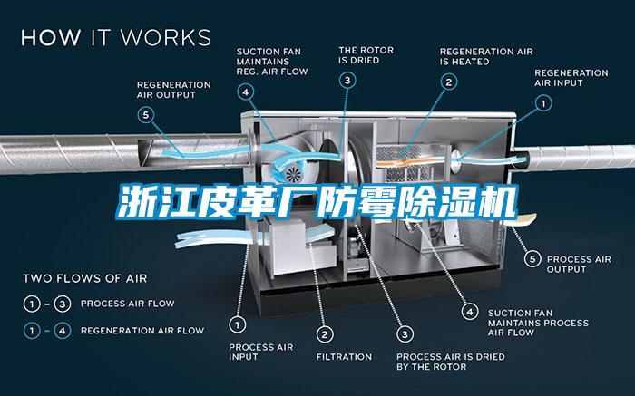 浙江皮革廠防霉除濕機(jī)