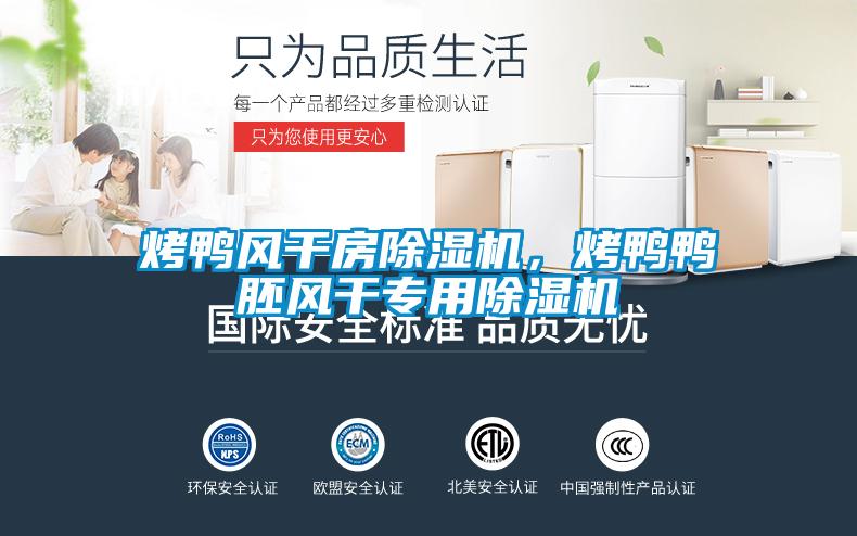 烤鴨風(fēng)干房除濕機，烤鴨鴨胚風(fēng)干專用除濕機