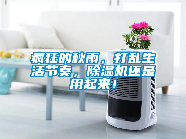 瘋狂的秋雨，打亂生活節(jié)奏，除濕機(jī)還是用起來(lái)！