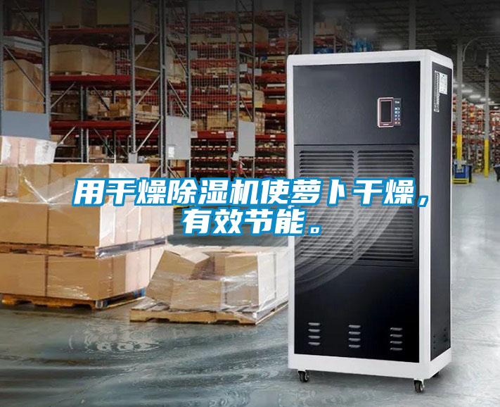 用干燥除濕機使蘿卜干燥，有效節能。