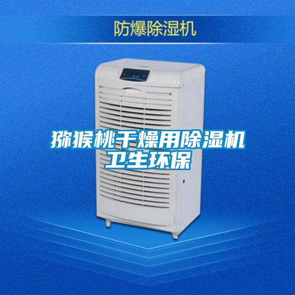 獼猴桃干燥用除濕機衛(wèi)生環(huán)保