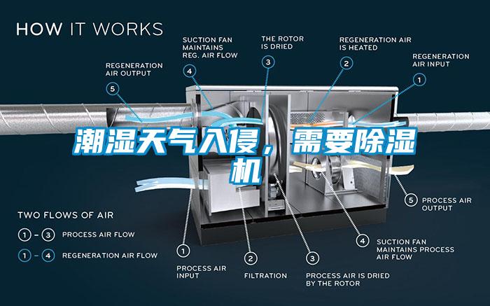 潮濕天氣入侵，需要除濕機