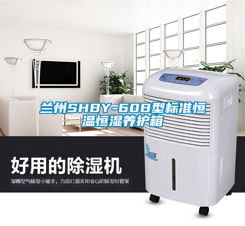 蘭州SHBY-60B型標準恒溫恒濕養護箱