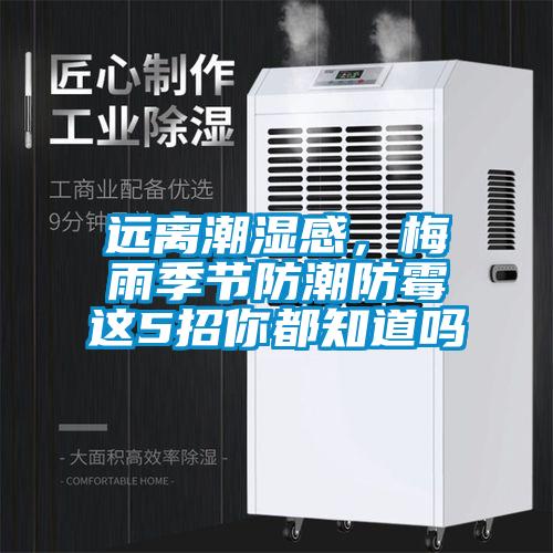 遠離潮濕感，梅雨季節(jié)防潮防霉這5招你都知道嗎