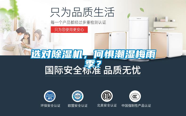 選對除濕機，何懼潮濕梅雨季？