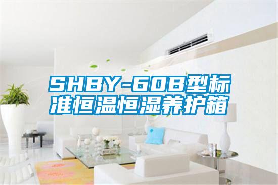 SHBY-60B型標準恒溫恒濕養護箱