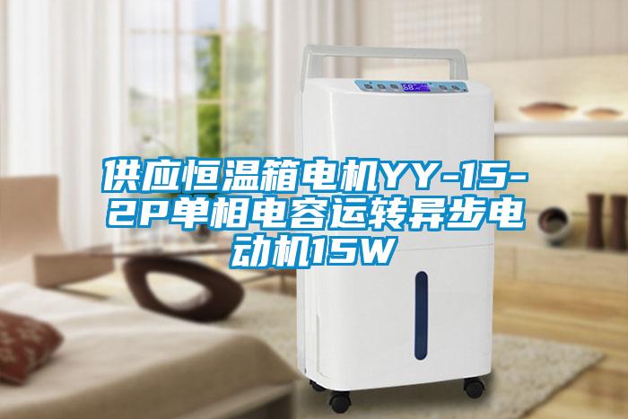 供應恒溫箱電機YY-15-2P單相電容運轉異步電動機15W