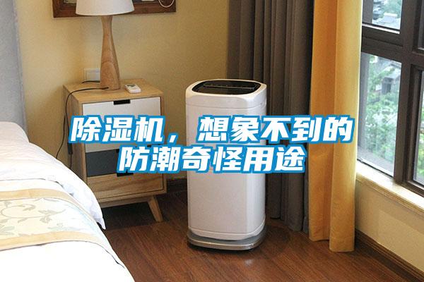 除濕機(jī)，想象不到的防潮奇怪用途