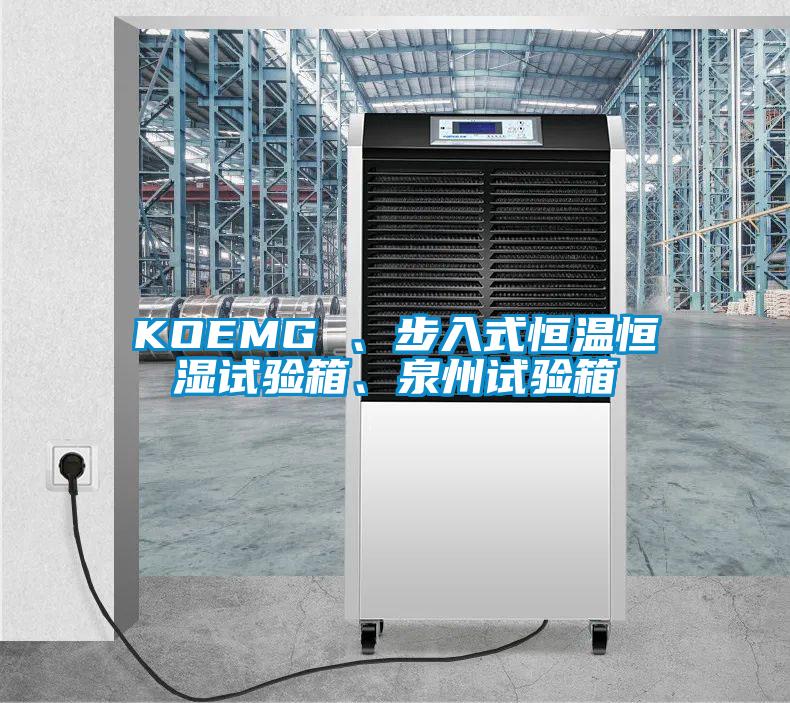 KOEMG 、步入式恒溫恒濕試驗箱、泉州試驗箱