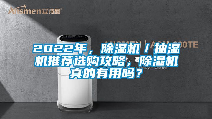 2022年，除濕機／抽濕機推薦選購攻略，除濕機真的有用嗎？