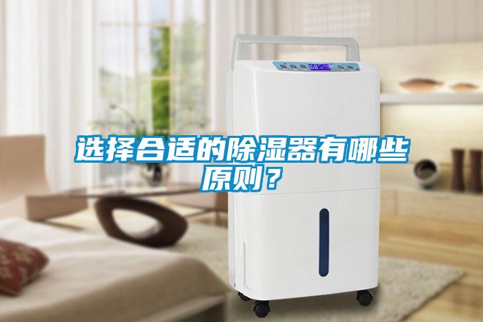 選擇合適的除濕器有哪些原則？