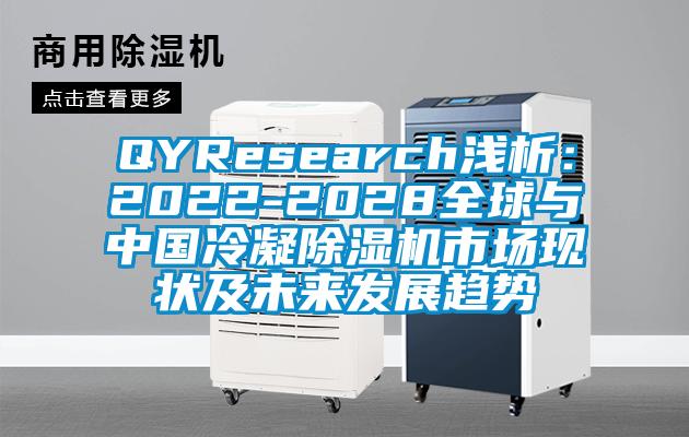 QYResearch淺析：2022-2028全球與中國冷凝除濕機市場現狀及未來發展趨勢