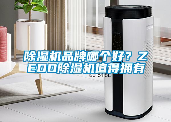 除濕機品牌哪個好？ZEDO除濕機值得擁有