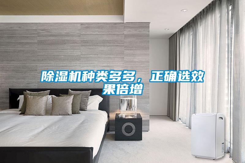 除濕機種類多多，正確選效果倍增