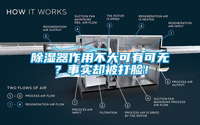 除濕器作用不大可有可無？事實卻被打臉！