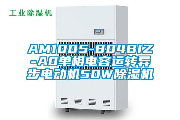 AM1005-804BIZ-A0單相電容運轉異步電動機50W除濕機