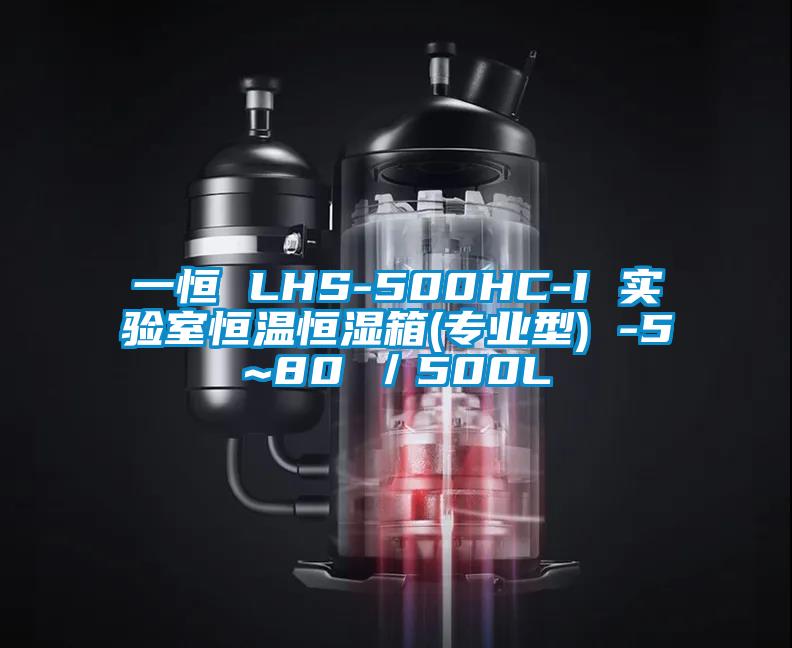 一恒 LHS-500HC-I 實驗室恒溫恒濕箱(專業(yè)型) -5~80℃／500L