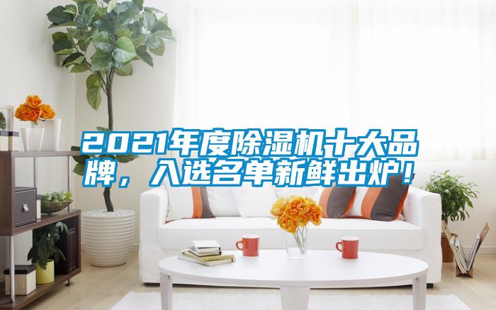 2021年度除濕機十大品牌，入選名單新鮮出爐！