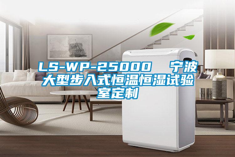 LS-WP-25000  寧波大型步入式恒溫恒濕試驗室定制