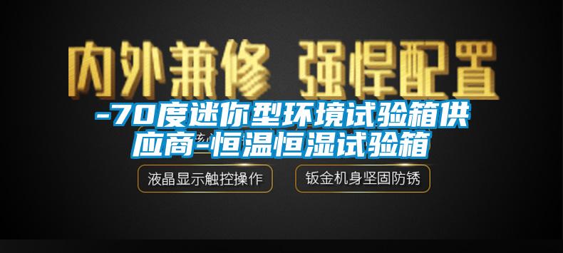 -70度迷你型環境試驗箱供應商-恒溫恒濕試驗箱