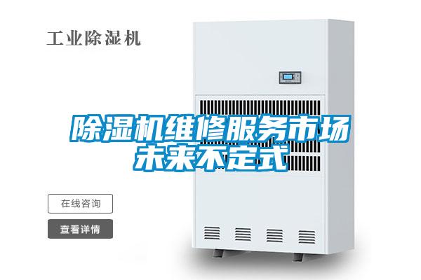 除濕機(jī)維修服務(wù)市場(chǎng)未來(lái)不定式