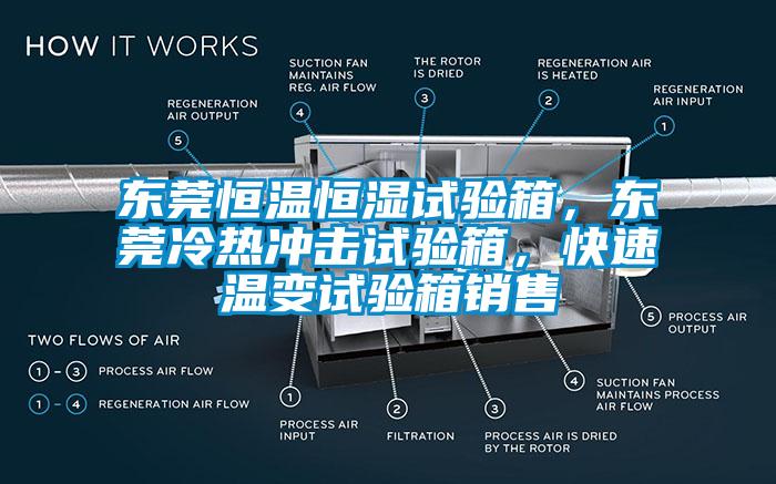 東莞恒溫恒濕試驗箱，東莞冷熱沖擊試驗箱，快速溫變試驗箱銷售