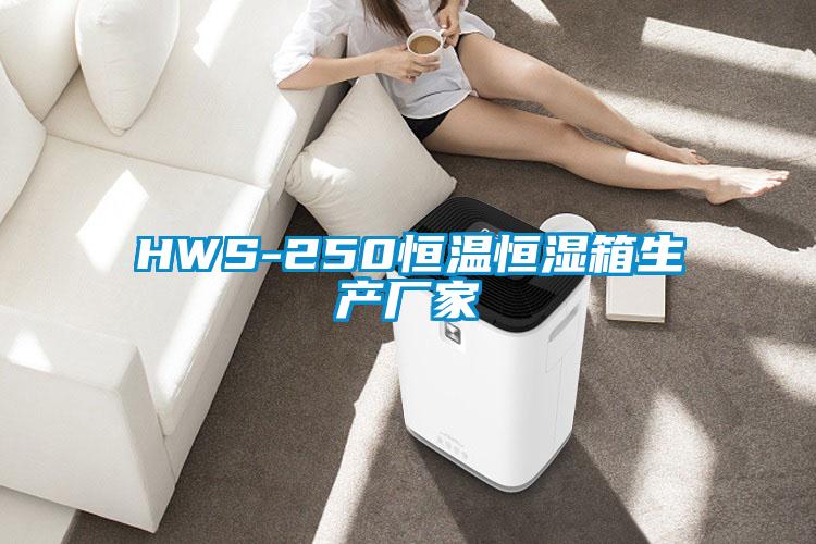 HWS-250恒溫恒濕箱生產廠家