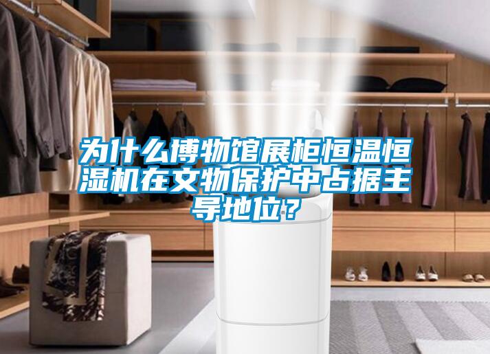 為什么博物館展柜恒溫恒濕機在文物保護中占據主導地位？