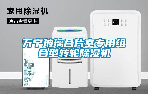 萬(wàn)寧玻璃合片室專用組合型轉(zhuǎn)輪除濕機(jī)