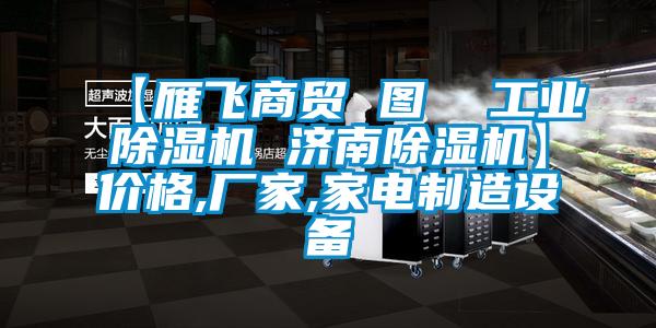 【雁飛商貿 圖  工業除濕機 濟南除濕機】價格,廠家,家電制造設備