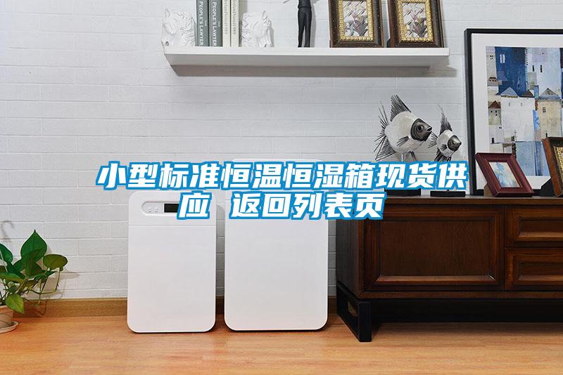 小型標準恒溫恒濕箱現(xiàn)貨供應 返回列表頁