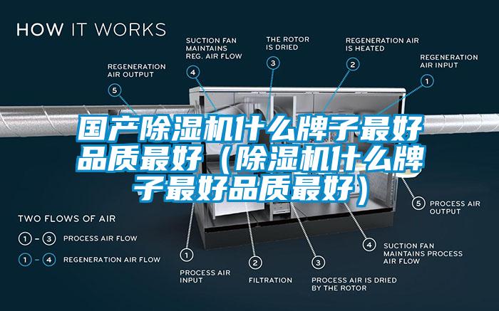 國產除濕機什么牌子最好品質最好（除濕機什么牌子最好品質最好）